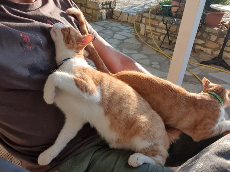 Paxos