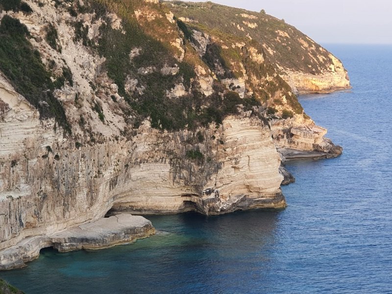 Paxos