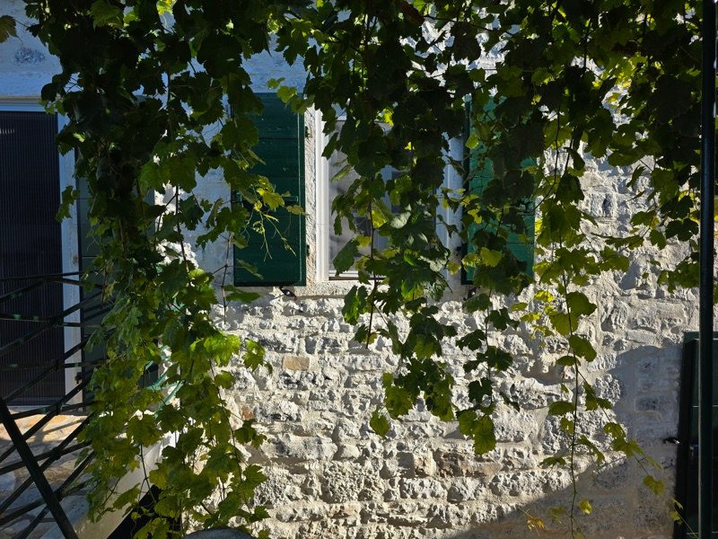 Paxos