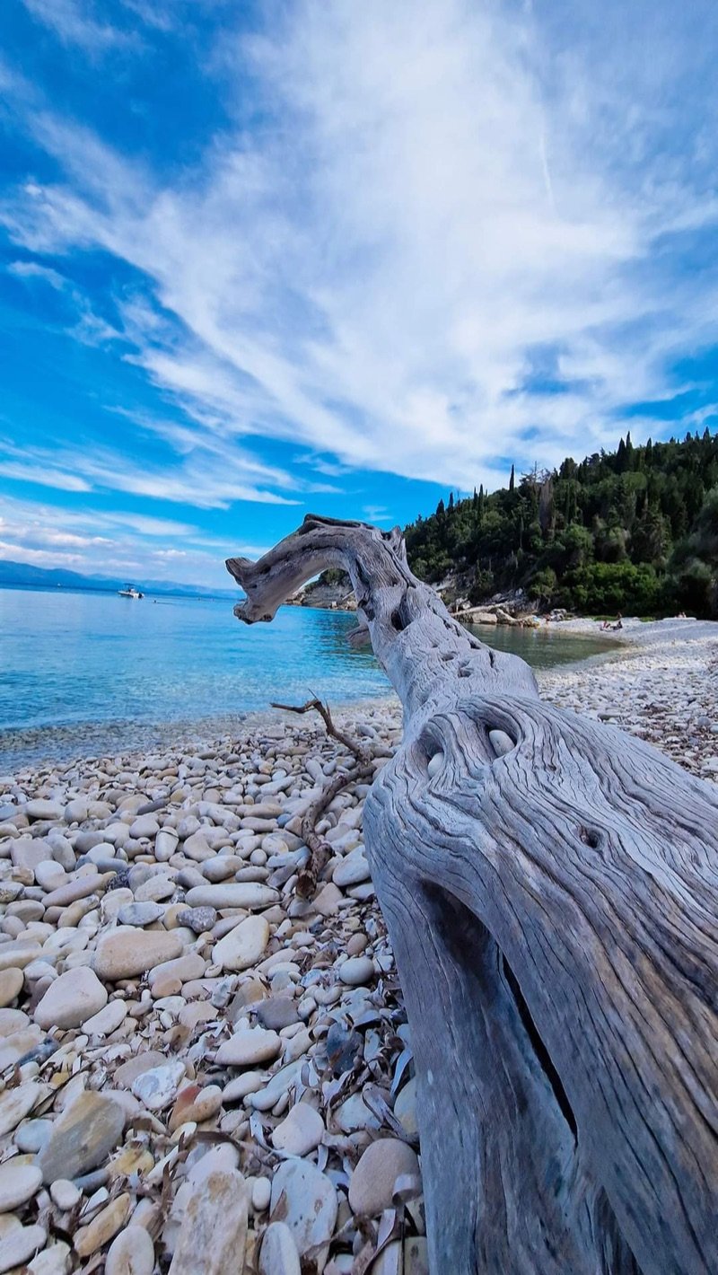 Paxos