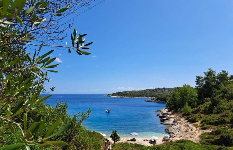 Paxos