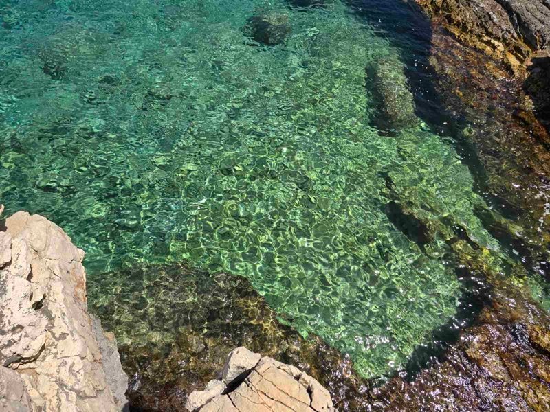 Paxos