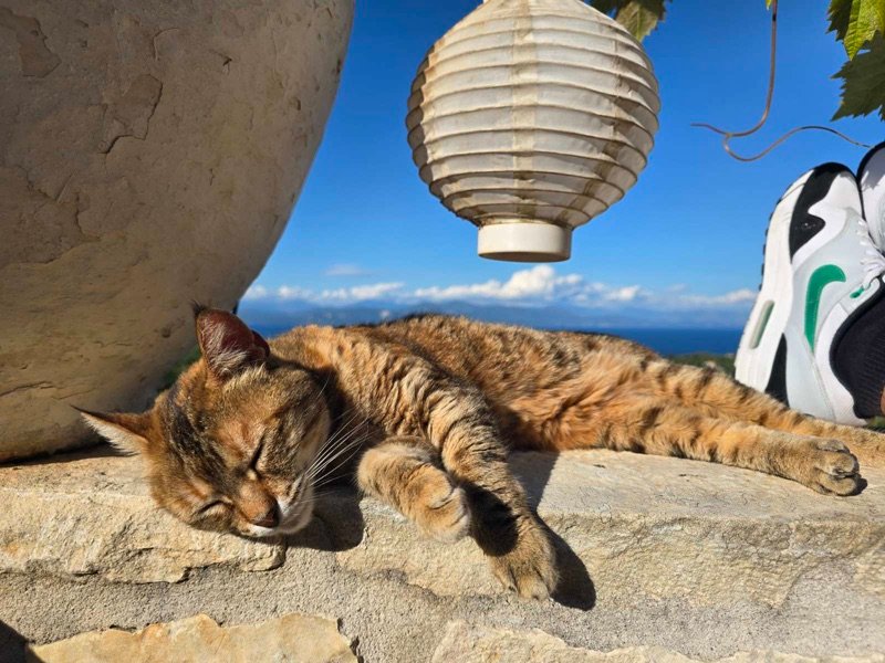 Paxos