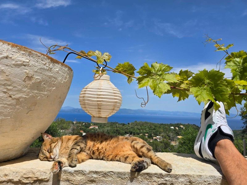 Paxos
