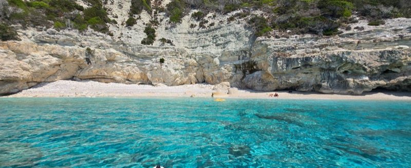 Paxos